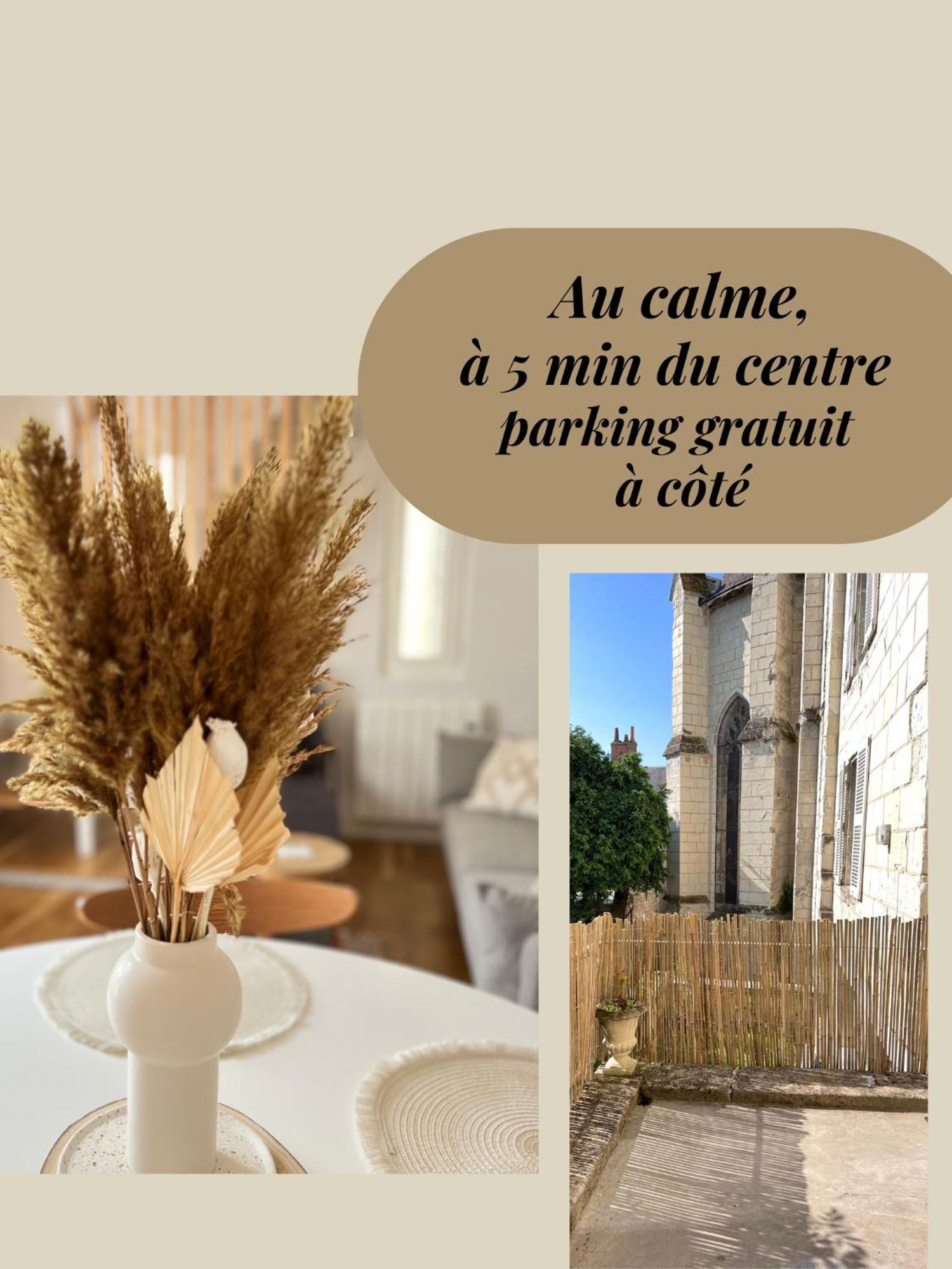 Le Jeanne, Appartement En Duplex Proche Forteresse Et Centre Ville Chinon Ngoại thất bức ảnh